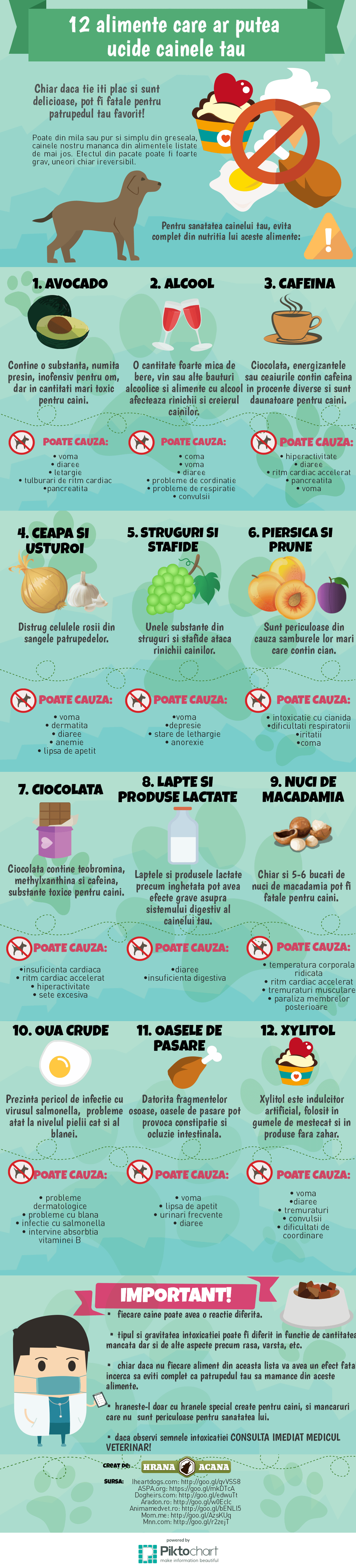 alimente-toxice-caini-infografic-hranaacana.ro Alimente toxice caini infografic
