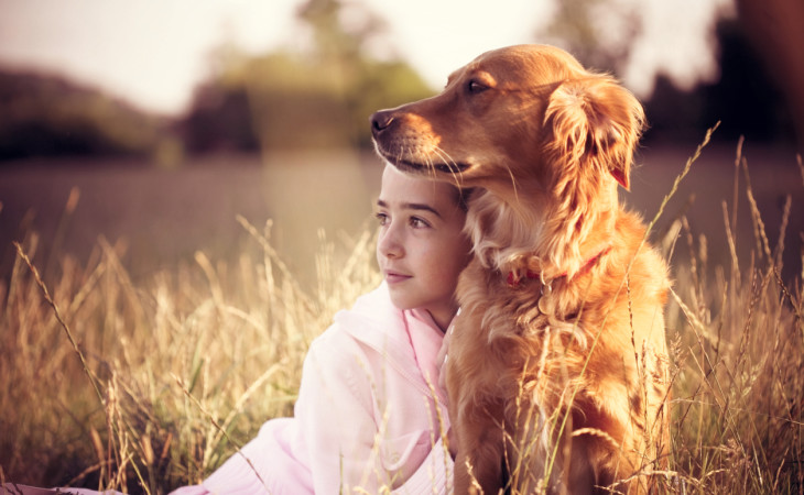 Golden_retriever-caine-cu-fetita-hranaacana.ro Golden_retriever-caine-cu-fetita-hranaacana.ro