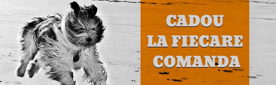 Cadou La fiecare comanda